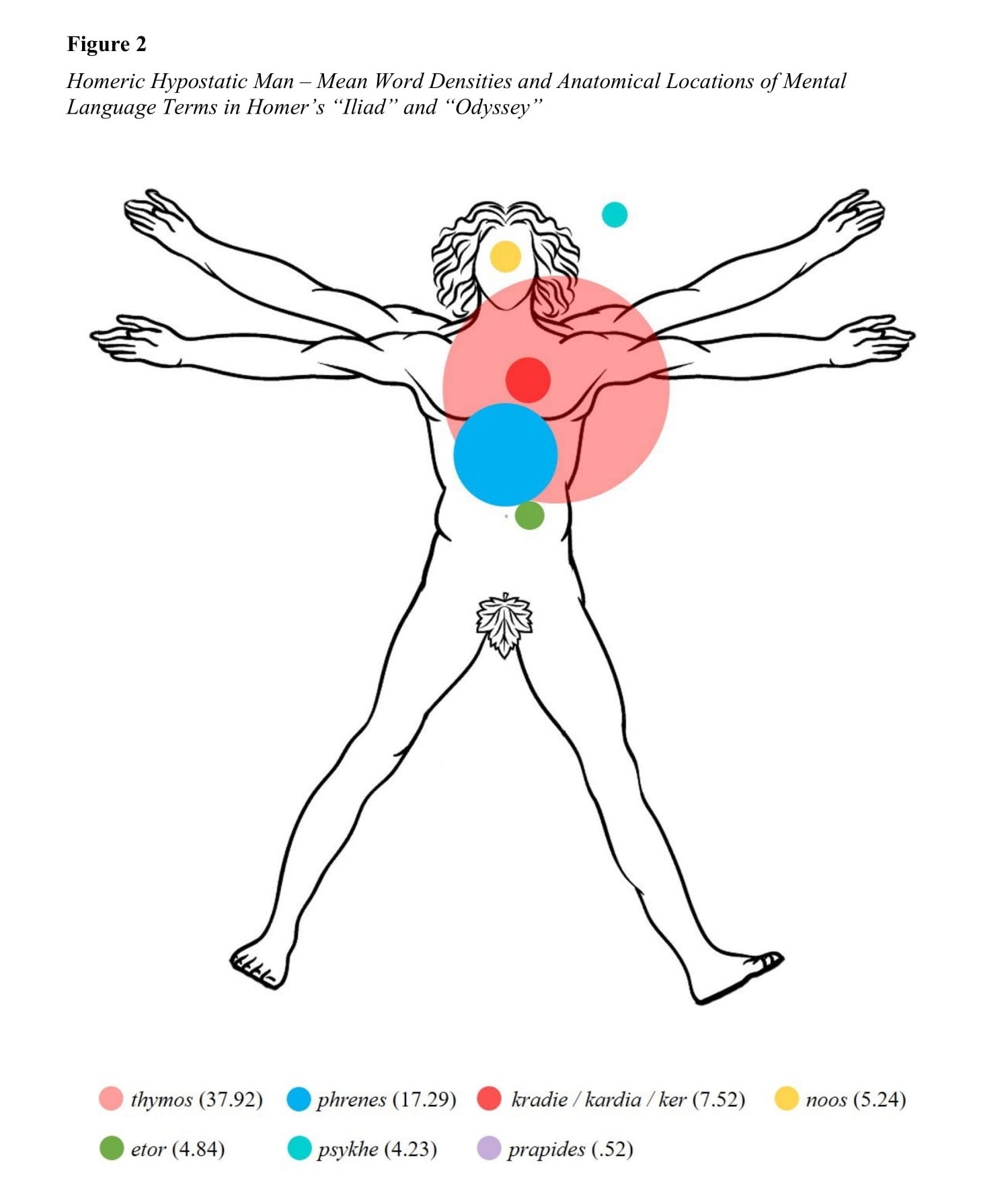 Vitruvian man diagram depicting anatomical locations of mind words in Homer according to word frequency